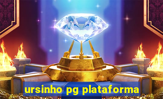 ursinho pg plataforma